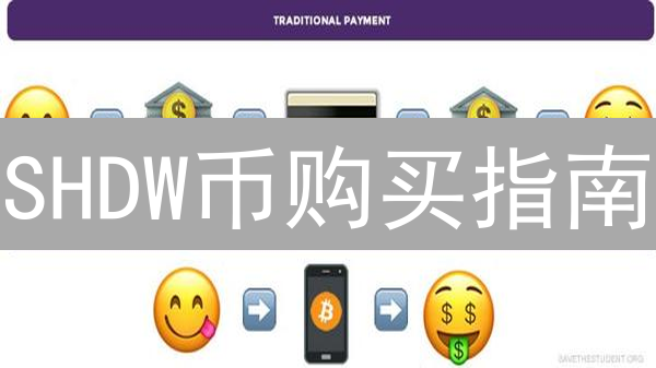 SHDW币购买指南：新手也能轻松入手的4大途径及风险提示！