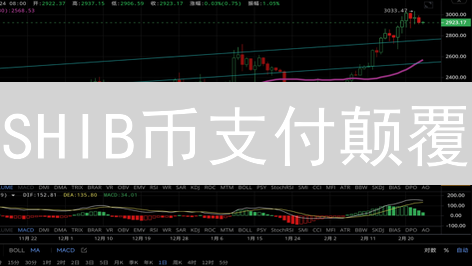 SHIB币支付颠覆？币安 vs 传统支付，谁更胜一筹？