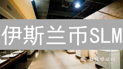伊斯兰币SLM：暴涨潜力？一文读懂！