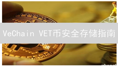 VeChain VET币安全存储指南：钱包选择与安全实践