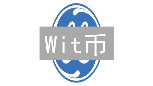 Wit币：知识经济的未来？五大应用场景深度解析！