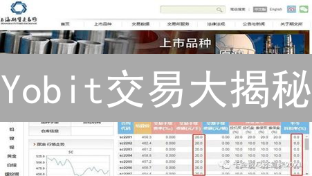 Yobit交易大揭秘：手续费、交易方式全解析！后悔没早看！